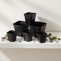 Petit pot à fleurs en plastique de 5,5 cm d'épaisseur pour plantes succulentes, cactus, design traditionnel, pot carré durable pour la maison, utilisation en centre commercial