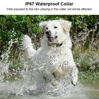 Pet Chien Chat GPS Tracker Colliers Localisateur Dispositif De Suivi Collier Étanche Pour Animaux Chiens Chats Bétail Mouton Position De Suivi