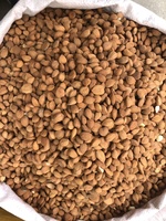 Graines d'amande amère chinoise (Ku Xing Ren) - Produits alimentaires santé de haute qualité, épices diététiques