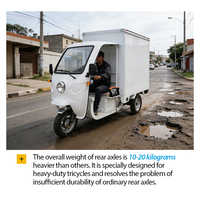3 Roue Moto Rickshaw Mobilite Fermee Cargo Livraison Express Van Scooter Tricyle Electrique Vente Chaude