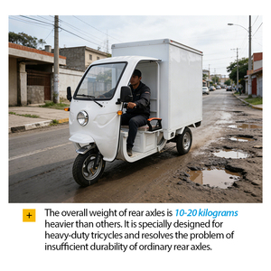 <span class=keywords><strong>3</strong></span> Roue Moto Rickshaw Mobilite Fermee Cargo Livraison Express Van <span class=keywords><strong>Scooter</strong></span> Tricyle Electrique Vente Chaude - Product Image 5