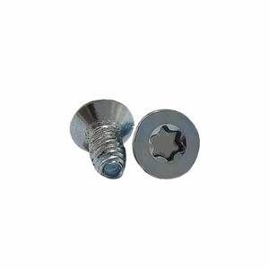 Tornillo Autorroscante de Cabeza Avellanada Métrico Torx, Cabeza Plana, Autoblocante, Estándar DIN, Acabado Zincado, Tamaño M3-M8, Suministro de China - Product Image 1