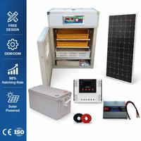 Incubateur automatique solaire personnalisé pour 176 œufs, fabriqué sur mesure