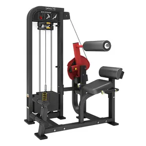 优质2层绘画运动器材健身MND-FM21背部延伸整个健身器材出售
