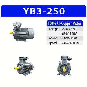 มอเตอร์อะซิงโครนัสสามเฟส YB3-250 แบบ 2/4/6/8 โพล 30-55 กิโลวัตต์ แรงสั่นสะเทือนต่ำ ทนทาน กำลังสูง สำหรับขับเคลื่อนอุปกรณ์หนัก - Product Image 2