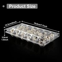 Boîtes d'Emballage Transparents Jetables de 12, 18, 20 Alvéoles pour Œufs de Caille – Boîtes de Rangement en Plastique Empilables pour Petits Œufs, Œufs de Caille et de Pigeon
