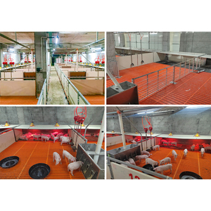 Equipo agrícola de alta calidad cómodo para lechón cerdo vivero jaula Weaner Crate - Product Image 6