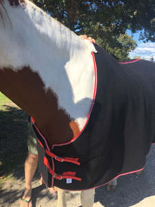 Tapis d'été pour chevaux Tissu en toile polycoton imperméable avec laine Style blazer Coquilles en maille remplies de coton et de polaire - Product Image 4