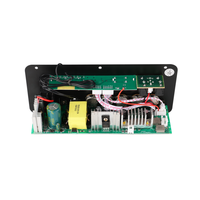 300W double entrée micro pour Bluetooth Mini amplificateur USB télécommande 12V/220V DC/AC alimentation pour usage domestique musique