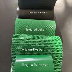 Nakliye için etek atel kılavuz şeritler ile özel kaymaz gıda sınıfı PVC konveyör bant - Product Image 4