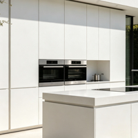 Évier de cuisine extérieur moderne haut de gamme en acier inoxydable, écologique, avec robinet, rangement et charnière, étanche et antirouille, pour centre commercial