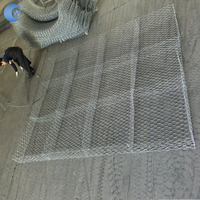 Panier Gabion 2x1x1m en fil de fer galvanisé 2.0mm/2.2mm/2.5mm/2.7mm pour mur de soutènement, treillis hexagonal / avec service de découpe