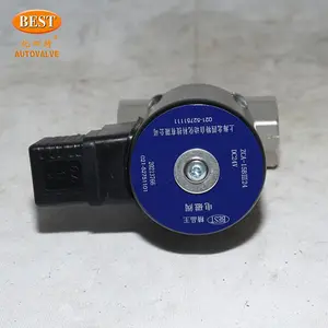 Van điện từ với bộ đếm thời gian 110V 220V AC 12V 24V DC nước zca 2 cách đường kính nhỏ hoạt động Piston Van điện từ áp suất cao