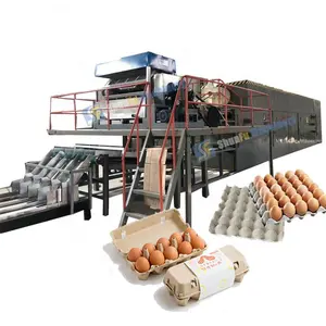 Machine automatique rotative de fabrication de cellules de plateau d'oeufs en papier du Bangladesh avec système de séchage en métal