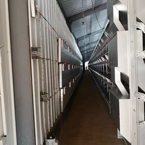 Equipo automático de aves de corral para la cría de pollos Nueva condición Jaulas de batería de capa de huevo - Product Image 1