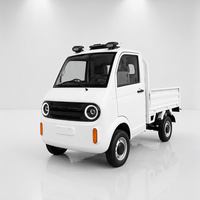 Camionnette électrique directement de l'usine, véhicule utilitaire électrique 4 roues pour adultes, véhicule utilitaire agricole, camion électrique 2 portes