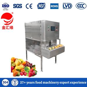 Peladora de Frutas Automática Industrial para Mango, Durazno, Naranja, Limón, Caqui, Manzana y Piña - Product Image 1