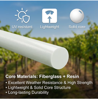 Support de grimpement pour jardin et vignoble, résistant aux intempéries, haute résistance, léger, sans entretien, en fibre de verre durable pour la coupe des plantes