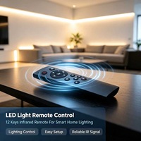 Control Remoto Inteligente con Luz LED e Infrarrojos JCXK de 12 Teclas, Plástico ABS, OEM, ODM, Personalizado