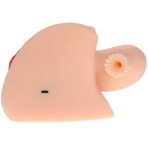 Modello di Utero di 4a Generazione, Stampo Invertito per Glutei Femminili con 2 Tipi di Canali, Sensazione Realistica della Pelle Sottile - Product Image 1