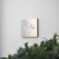 Caractères lumineux en métal personnalisés, couleur naturelle, acier inoxydable brossé, enseignes lumineuses LED intérieures/extérieures, IP65