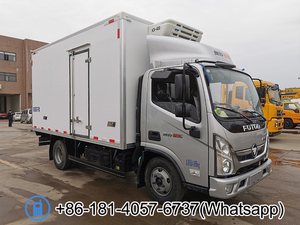 Japon célèbre marque isuzu npr 700p 20ft 5T fourgon réfrigéré camions - Product Image 4