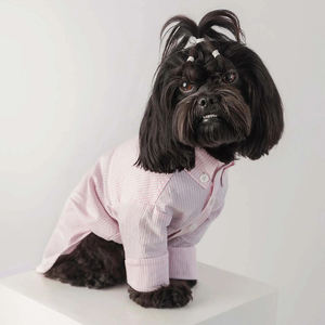 세련되고 우아하며 튼튼한 애완동물 봄옷 강아지 액세서리 고급 애완동물 의류 - Product Image 4