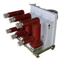 Interruptor de Vacío ZN73-12, Interruptor de Circuito de Alto Voltaje para Interiores, Parámetros Personalizables, Suministro de Fábrica, Interruptor de Vacío