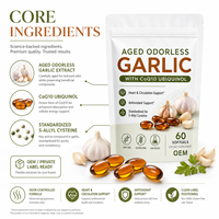 Gélules d'ail sans OGM, sans gluten, sans odeur, vieillies, avec CoQ10 Ubiquinol, formule Clean Label pour le bien-être quotidien et la nutrition