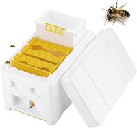 Ruches de reproduction en polystyrène BAIFENG BEE neuves avec garantie d'un an pour l'apiculture