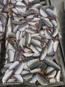 HGT istavrit balığı çin deniz ürünleri kapalı kuyruk kapalı yuvarlak Scad 7-9cm 9-11cm dondurulmuş balık Basa balık - Product Image 3