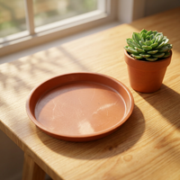 Soucoupes de drainage pour plantes de 10,5 à 25 pouces, vert foncé, en plastique PP chromé, 0,2 L, pour sol, maison, intérieur, extérieur, jardin, pot de fleurs