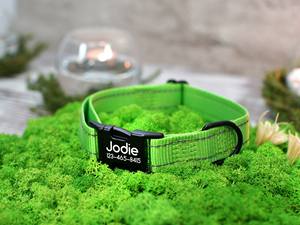 Collar Personalizado para Perro Pequeño, Reflectante, de Terciopelo, Grabado con Nombre, Diseño Sólido con Decoración de Lazo - Product Image 6