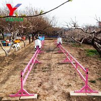 Bon marché, parc d'attractions, manèges, divertissement pour enfants, jeux de course, animaux de ferme, tortue et lapin heureux, course sur piste