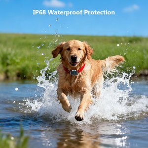 เครื่องติดตามสัตว์เลี้ยงขนาดเล็ก GPS ได้รับการรับรองมาตรฐาน CE ROHS พร้อมพอร์ต USB-C แบตเตอรี่ใช้งา<span class=keywords><strong>น</strong></span>ได้นาน ระยะไก<span class=keywords><strong>ล</strong></span> ใช้กับปลอกคอสุ<span class=keywords><strong>น</strong></span>ัข พร้อมระบบตรวจสอบกิจกรรม - Product Image 5