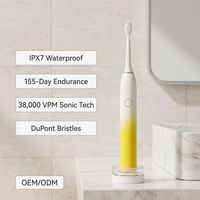 Nouveautés 2026 Brosse à dents électrique sonique pour adultes, étanche IPX7, rechargeable par Type-C, poils DuPont