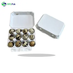 Manufacturer Supply 12 Cells Egg Cartons Compostable Quail Cardboard Holder Tray Degradable Pulp white Quail Egg Tray