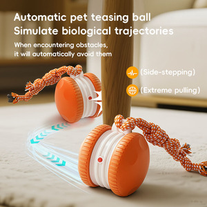 Toptan Ekolojik Dostu Otomatik Köpek Zemin Oyuncak Topu Elektronik Özellikli Modern Tasarımlı Evcil Hayvan İnteraktif Oyuncakları Köpek Oyuncağı - Product Image 5