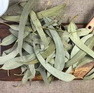 KAIYANGE VENTE EN GROS en vrac OEM Thé vert <span class=keywords><strong>d</strong></span>'<span class=keywords><strong>eucalyptus</strong></span> séché chinois <span class=keywords><strong>Feuilles</strong></span> mobiles Boîtes <span class=keywords><strong>de</strong></span> sachets à base <span class=keywords><strong>de</strong></span> plantes Tasses Traitement brut naturel - Product Image 3