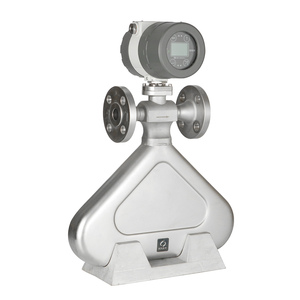 Strumento per misuratore di densità del liquido per misuratore di portata massica a Gas ad ultrasuoni per tubi in acciaio inossidabile - Product Image 6