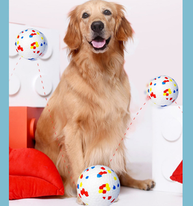 ETPU solido galleggiante leggero e resistente cane giocattolo da masticare resistente al morso indistruttibile movimento interattivo palla giocattolo diretta - Product Image 6