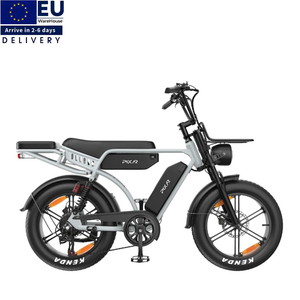 จักรยานไฟฟ้ามาตรฐาน EU 250W 48V 35Ah แบตเตอรี่คู่ ระยะทาง 130 กม. ความเร็วสูงสุด 25 กม./ชม. เบรกไฮดรอลิก จักรยานเสือภูเขาไฟฟ้าขนาด 20 นิ้ว - Product Image 1