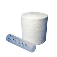 Fil à coudre en polyester filé à âme poly, blanc brut, torsion TFO 12/2 16/2 29/2 40/2 45/2 48/2 55/2 60/2