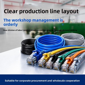 Câble <span class=keywords><strong>Ethernet</strong></span> <span class=keywords><strong>Catégorie</strong></span> 5 Super, Vente en Gros Usine, <span class=keywords><strong>8</strong></span> Conducteurs, Paire Torsadée, Cuivre-Aluminium, 1/2/3/50 Mètres - Product Image 2
