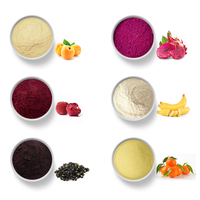 Poudre de fruits et légumes lyophilisés Youth Biotech