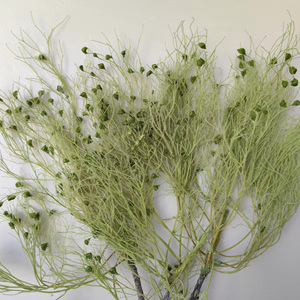 Fabricantes directamente para la rama grande de hierba de <span class=keywords><strong>sueño</strong></span> de Color puro flor eterna al por mayor - Product Image 3