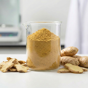Extracto Herbal de Jengibre Seco Natural en Polvo 10:1-50:1 Alto Contenido de Gingerol+Shogaol+Curcumina Grado Alimenticio con 2 Años de Vida Útil - Product Image 1