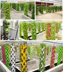 High Return Investment Rotating Hydroponics Greenhouse Agronomy Towers Farm Hydroponics Tower For Growing Fresh Crops