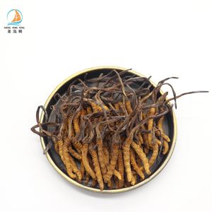 Aliments sains Cordyceps Sinensis entier séché sauvage riche en acides aminés 250 g Cordyceps Militaris sec à vendre - Product Image 2