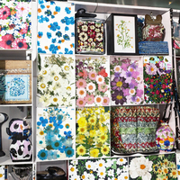 Vente flash : Kits de fleurs séchées pressées pour Halloween, diverses créations artistiques DIY, scrapbooking, résine époxy, moules à bijoux, bougies/savons
